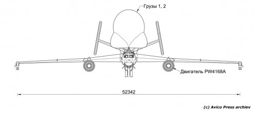 Beluga-2-2.jpg