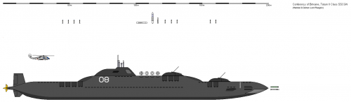 Tatum II Class SSCGN.PNG