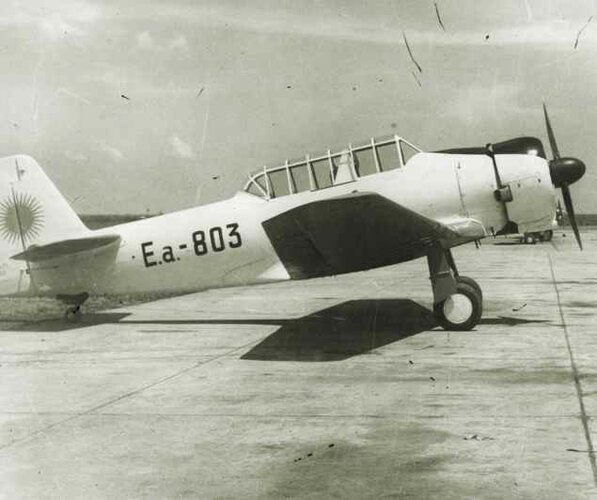 I.Ae.22 DL with AS Cheetah engine.jpg