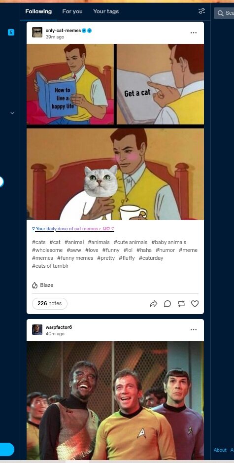 Star Trek and cat posts.jpg