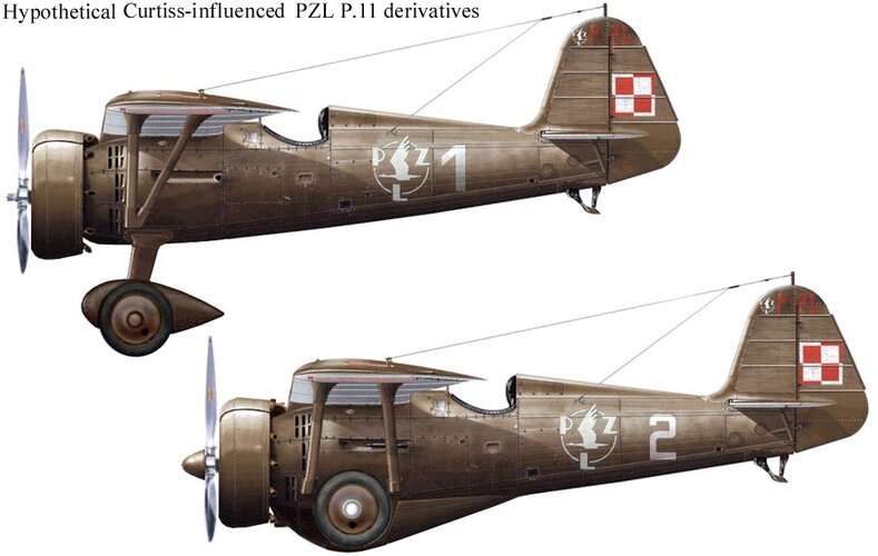 pzl-p11-curtiss-influence.jpg