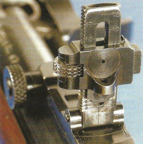 rear sight.jpg