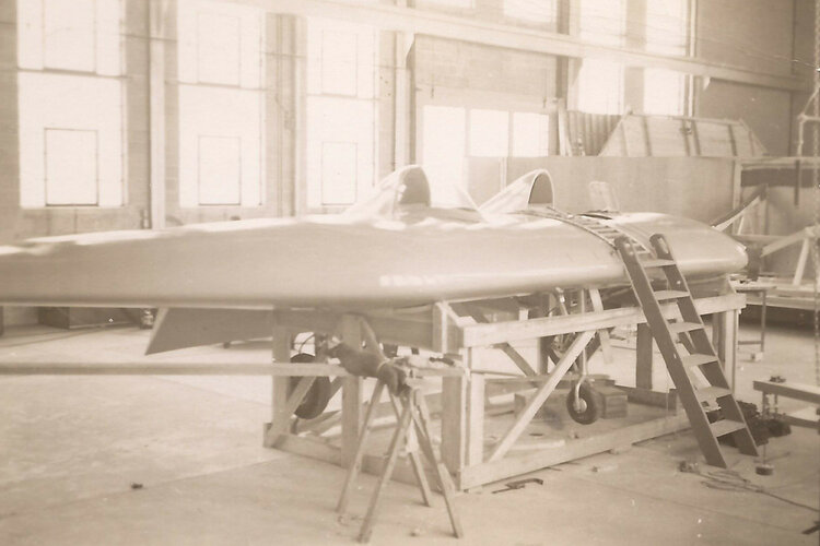 NRC Pterodactyl 2 a.jpg