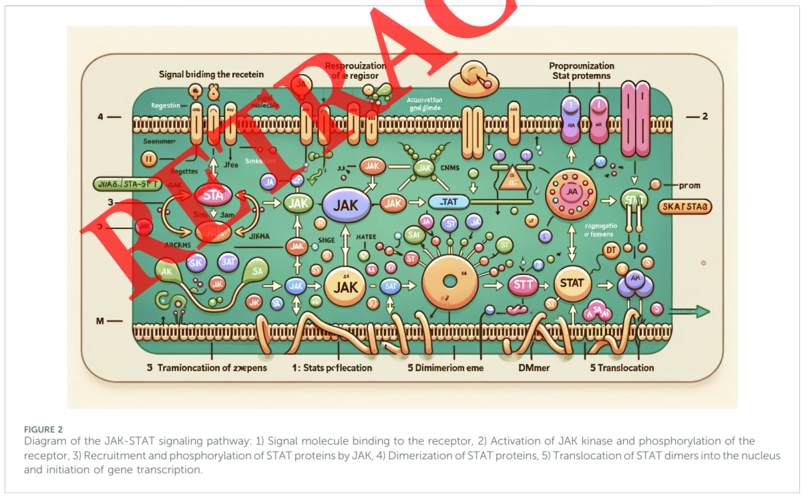 Figure 2.png