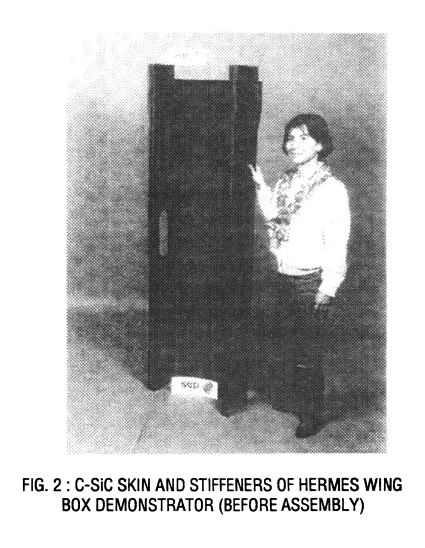 Hermes Stiffeners Wing Demo.png