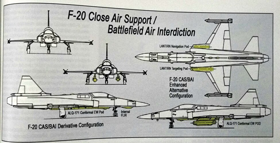 F-20 CAS BAI.jpeg