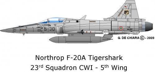 F 20 Tigershark AMI.jpg