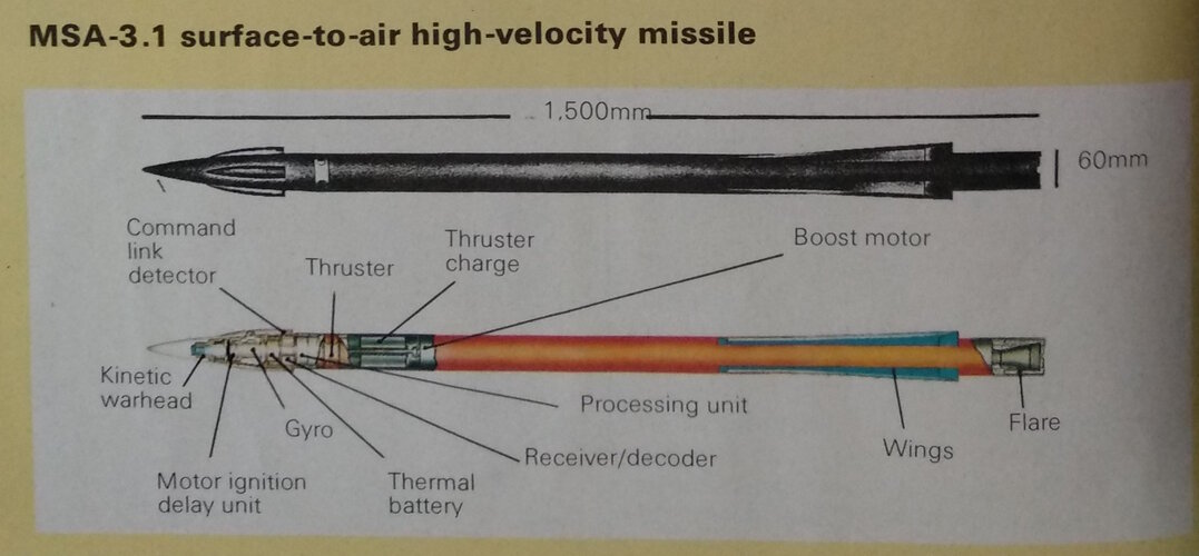 OrbitaMSA31.jpg