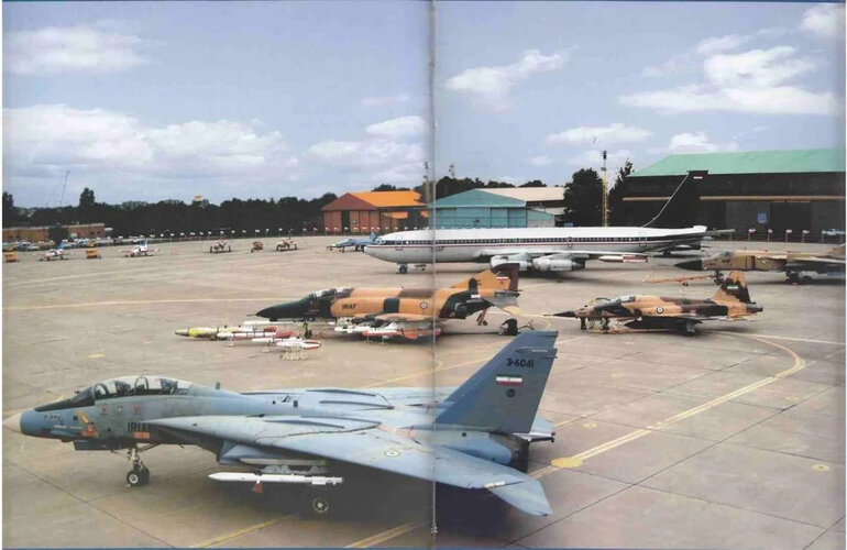 IRIAF F-14 (1).jpg