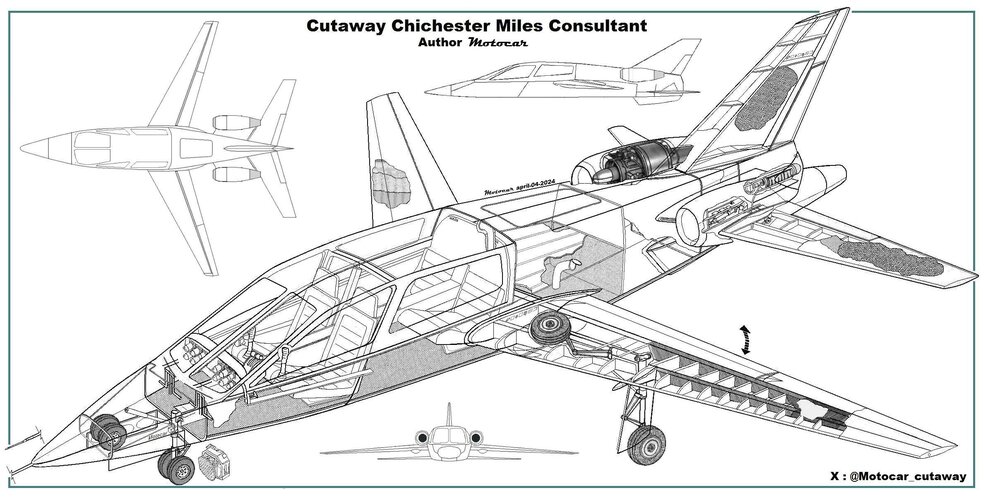 Cutaway Leopard - copia trabajada.jpg