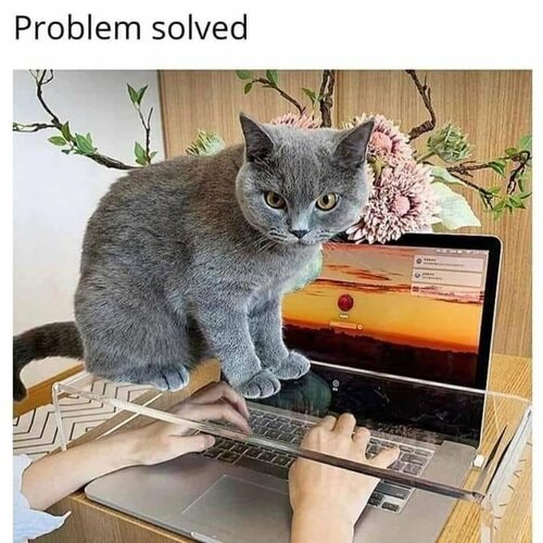 anti-computer cat is not amused.jpg