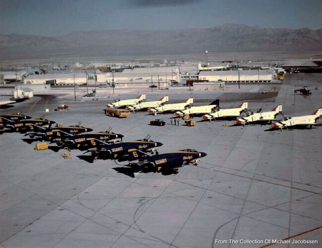 TB-birds and Blu-Angels.jpg