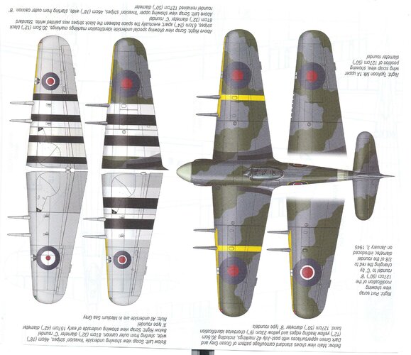 Escanear0172.jpg