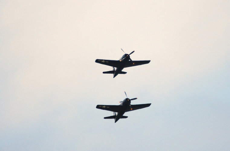 DSC_0418.jpeg