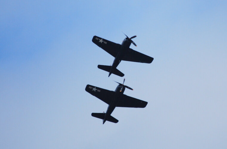 DSC_0419.jpeg