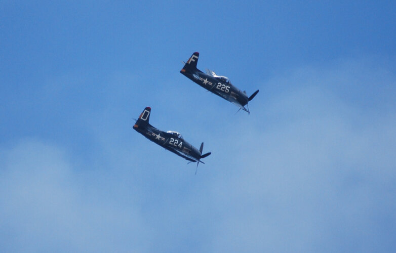 DSC_0422.jpeg