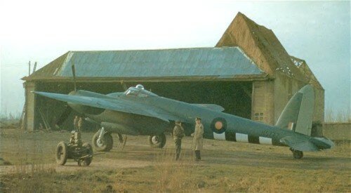 140-sqd-mosquito.jpg