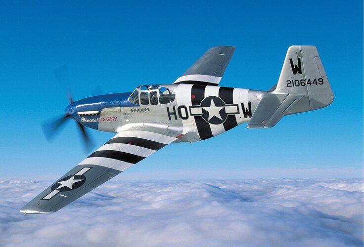 MUSTANGS-OVER-NORMANDY.jpg