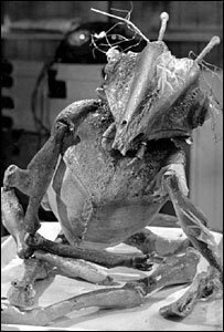 quatermass-alien.jpg