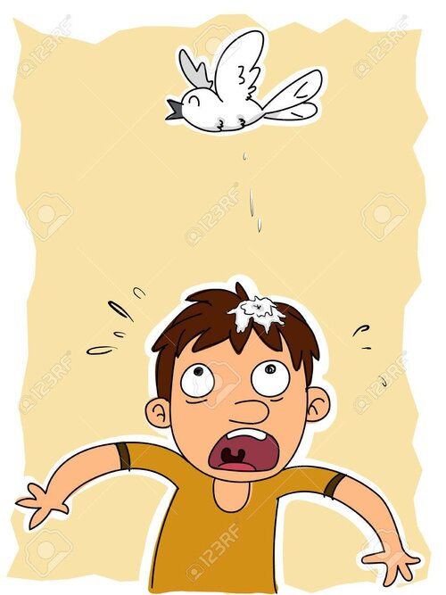 69018568-hombre-de-dibujos-animados-tiene-caca-de-pájaro-en-la-cabeza.jpg