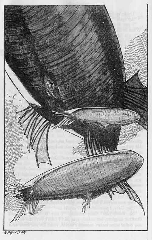 freffblimps.jpg