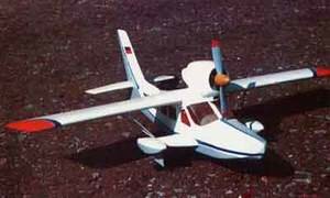 t-431.jpg