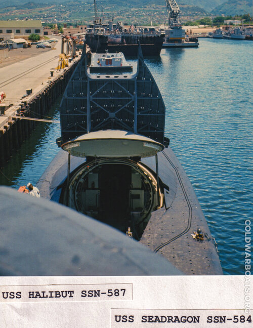 Halibut Hanger Open.jpg