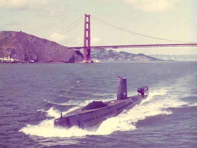Halibut 1972 Special Projects.jpg