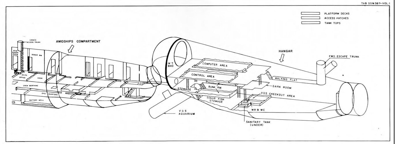 Halibut Forward_Original 2.jpg