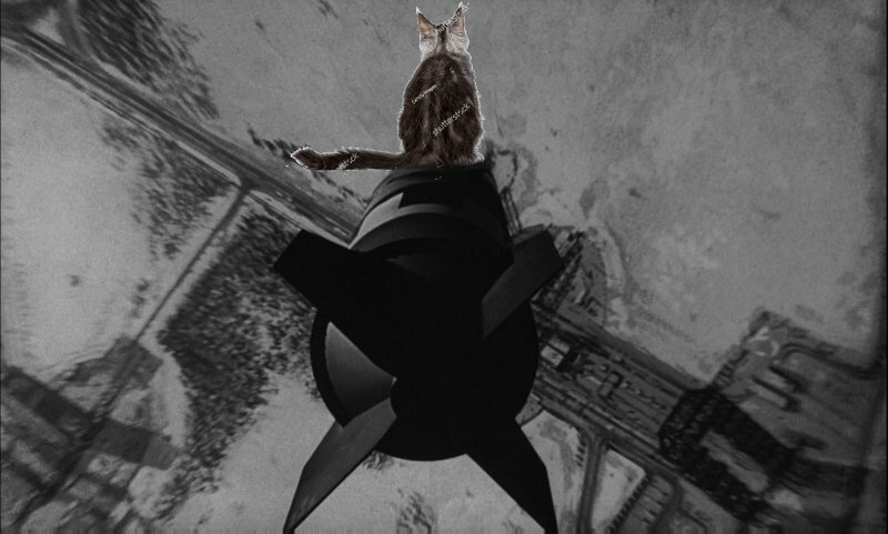 TomSrangeLove.jpg