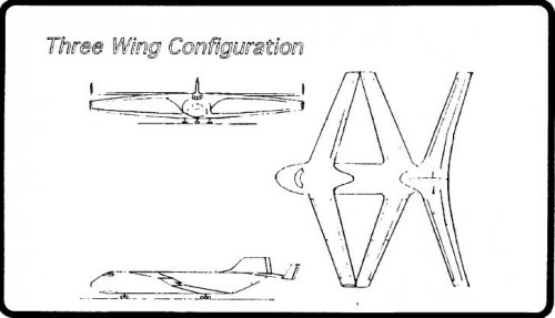 Three wing.JPG