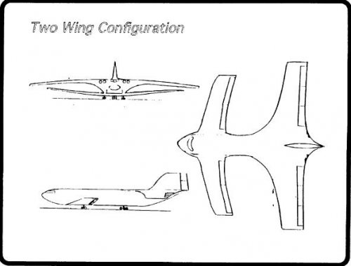 Two wing.JPG