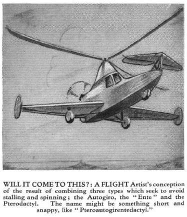 Pteroautogirentedacty.JPG