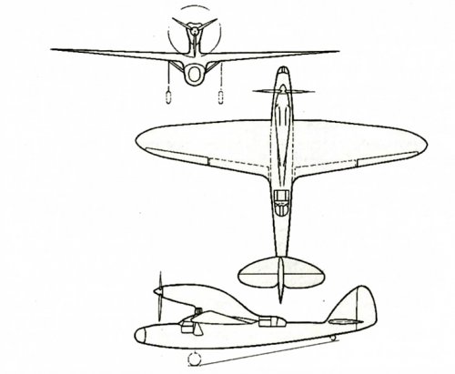 Grigorovich=Ivanov= ( high-wing) 1936.jpg