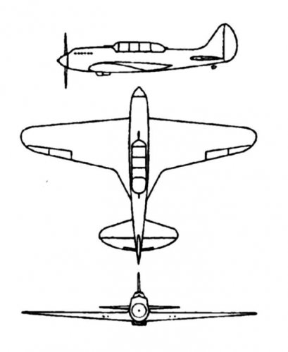 Polikarpov =Ivanov=1936-37(low-wing).jpg
