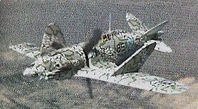 Macchi C.213E.jpg