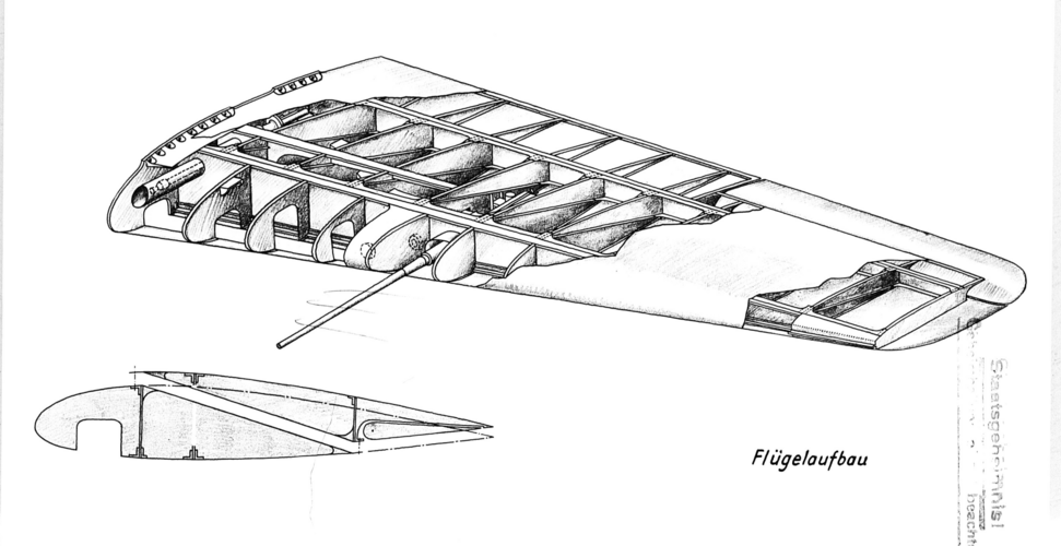 190 139 wing struct.png
