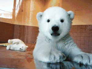 image_1176166_20240227_ob_901409_a417f22e1091dc9fce3e40dc6559fc67.gif
