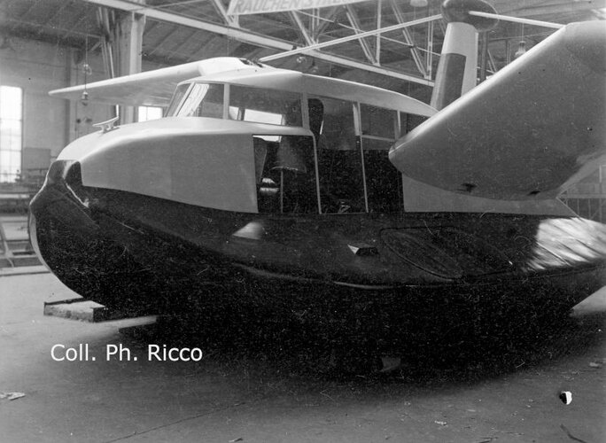Franz Kleinhenz 'Wochenendamphium' (PhR1).jpg