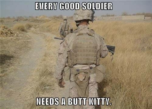 butt kitty.jpg