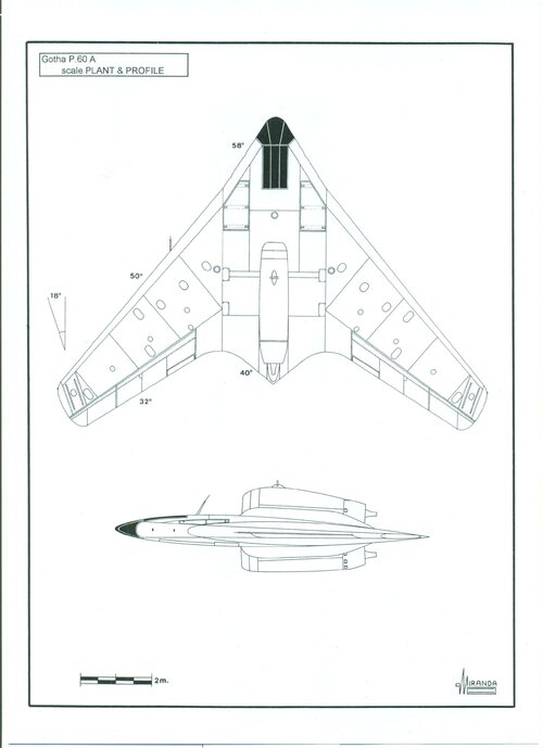 Flying Wings 020.jpg
