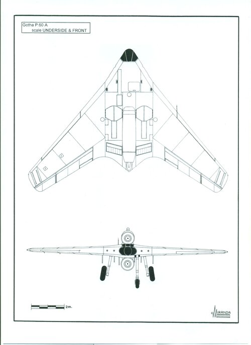 Flying Wings 021.jpg