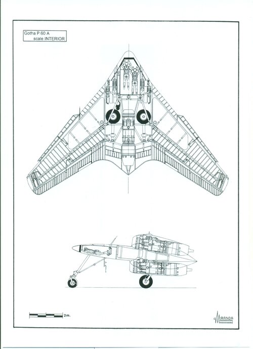 Flying Wings 022.jpg