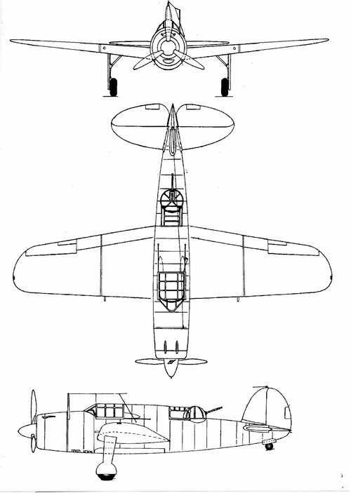 536.jpg