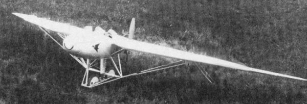 westland-pterodactyl 4.jpg