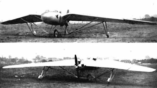 westland-pterodactyl 3.jpg