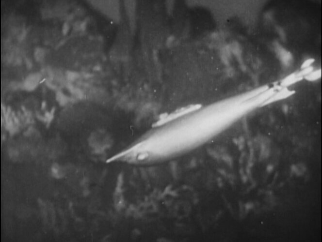 nautilus1.jpg