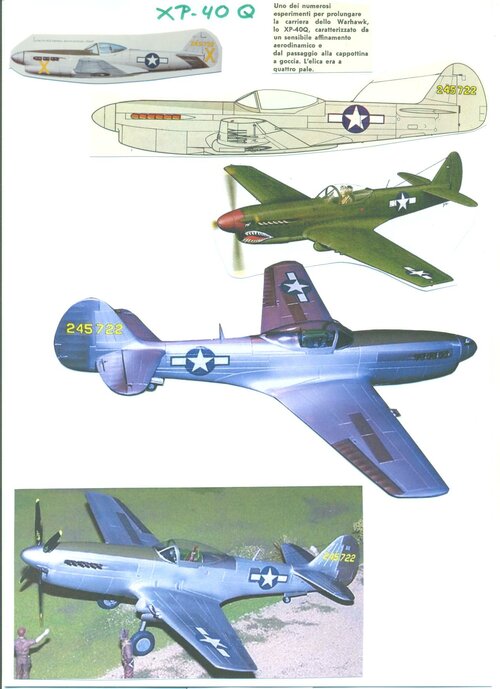 P-40Q 004.jpg