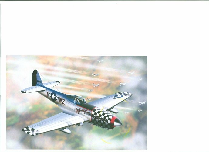 P-40Q 009.jpg