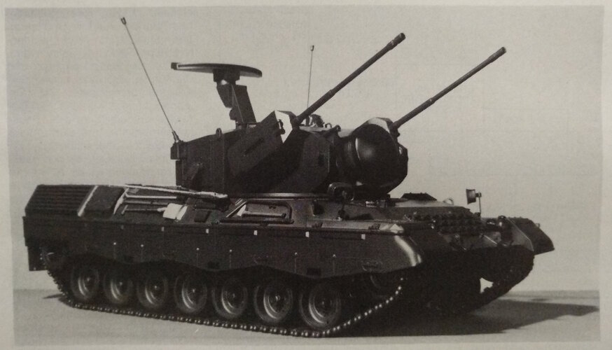 wildcatleopard1.jpg